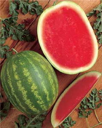 Vitamin A in Watermelons